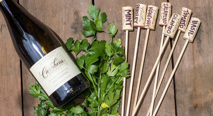 5 Garden DIYs to do This Summer 3