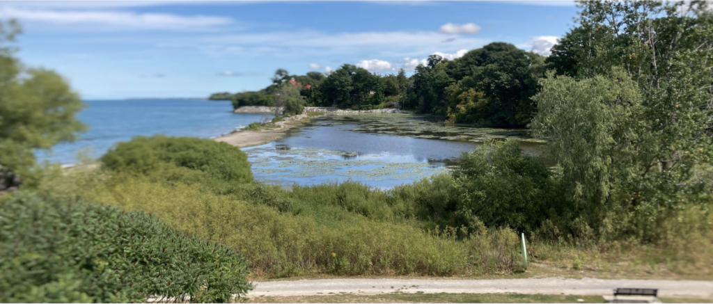 Rediscovering Niagara - Charles Daley Park 2