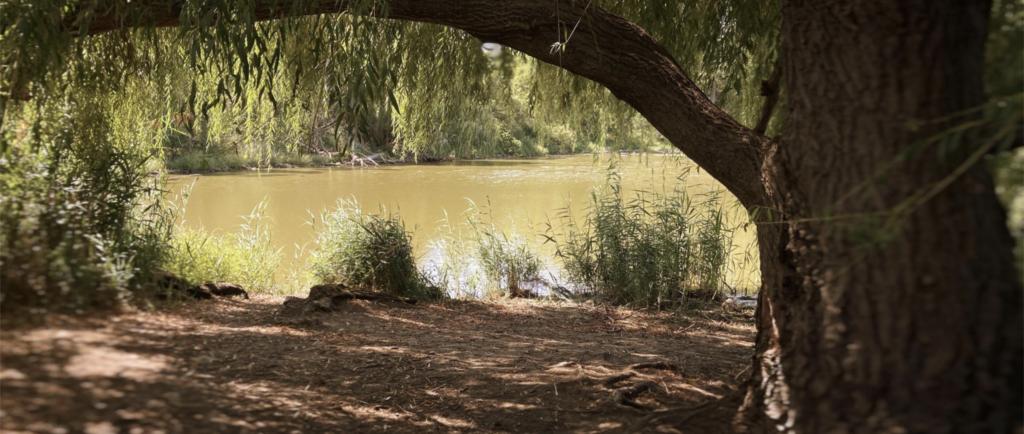 Rediscovering Niagara - Charles Daley Park 4