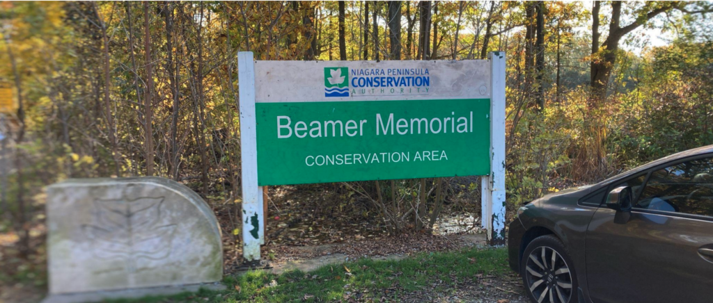 REDISCOVERING NIAGARA - BEAMERS FALLS CONSERVATION AREA 2