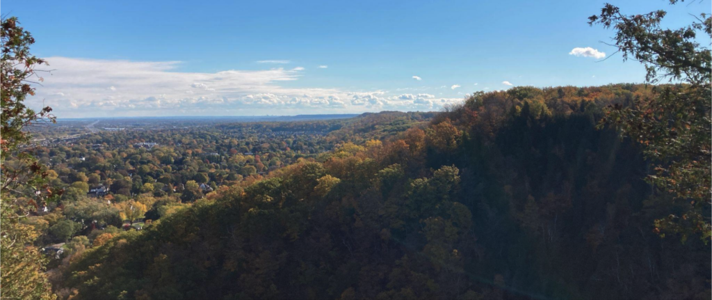 REDISCOVERING NIAGARA - BEAMERS FALLS CONSERVATION AREA 3