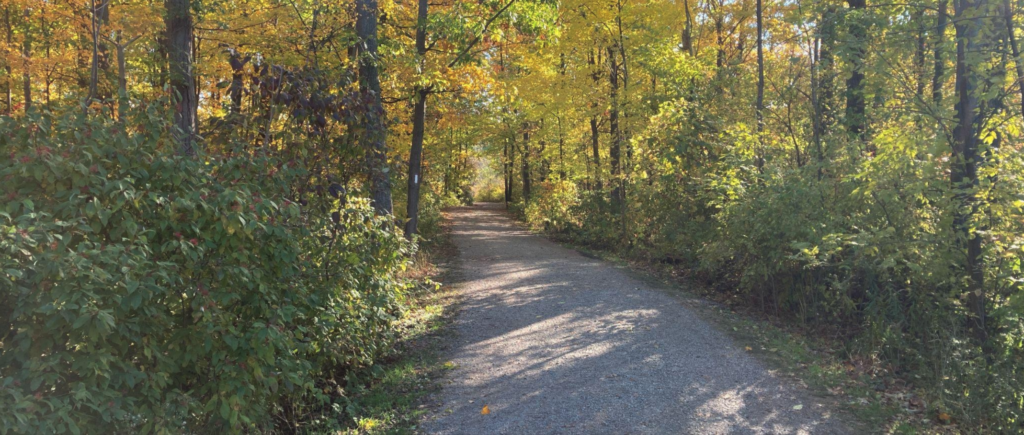 REDISCOVERING NIAGARA - BEAMERS FALLS CONSERVATION AREA 4